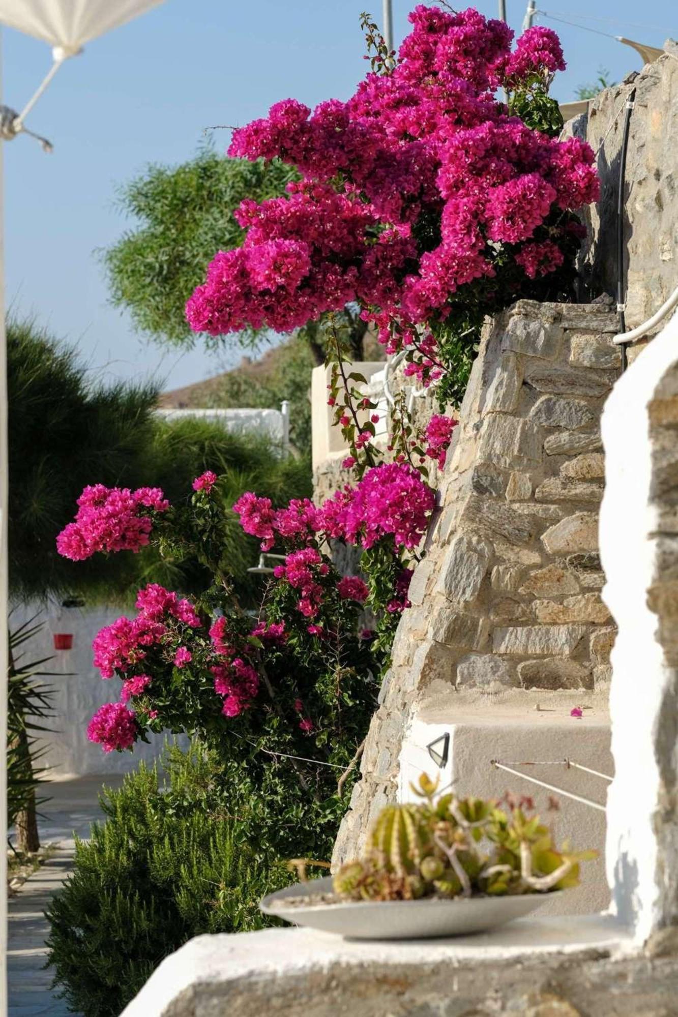 3 Paros All Season Villas Buitenkant foto